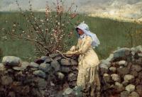 Homer, Winslow - Peach Blossoms